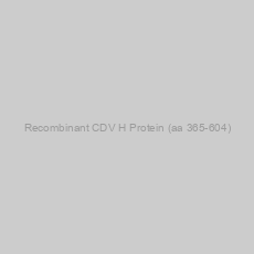 Image of Recombinant CDV H Protein (aa 365-604)